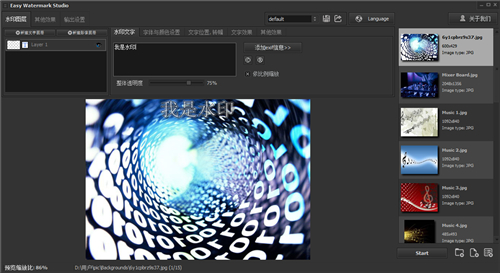Easy Watermark Studio